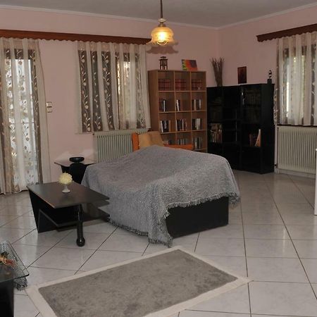 Eagle'S Family Apartment Kalampaka Εξωτερικό φωτογραφία
